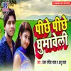 About Pichhe Pichhe Ghumaweli Song